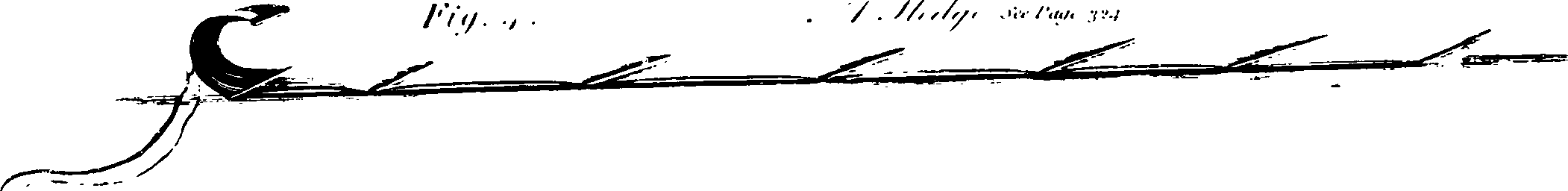 116/116390020005190_1.png