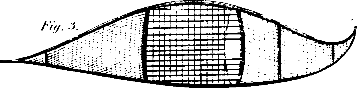 116/116390020005190_2.png