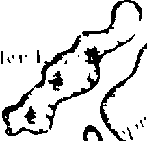 116/116390020005210_0.png
