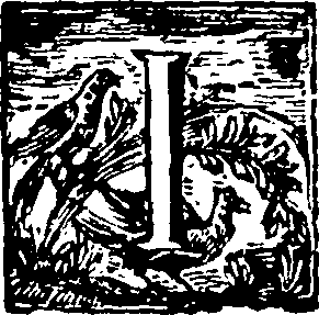 116/116410060000020_0.png