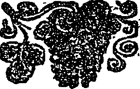 116/116460010000450_0.png