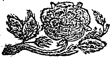 116/116460010000670_0.png