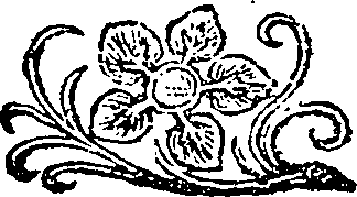 116/116480010000030_0.png