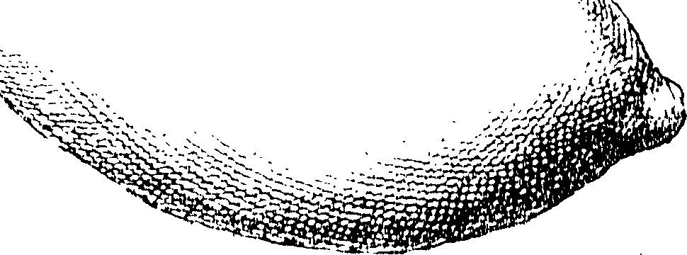 116/116500010001170_0.png