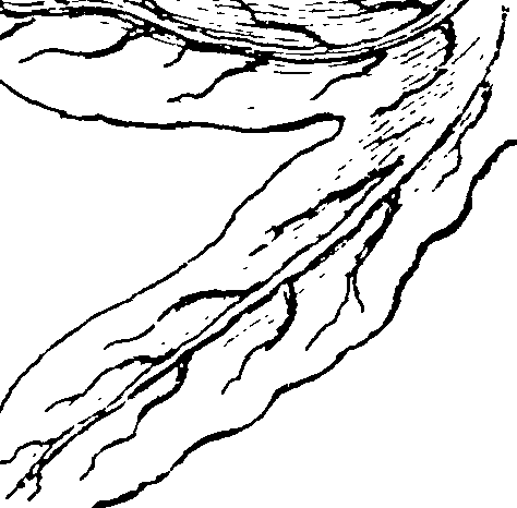 116/116500010001170_1.png