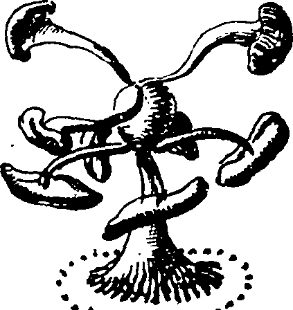 116/116500010001170_2.png
