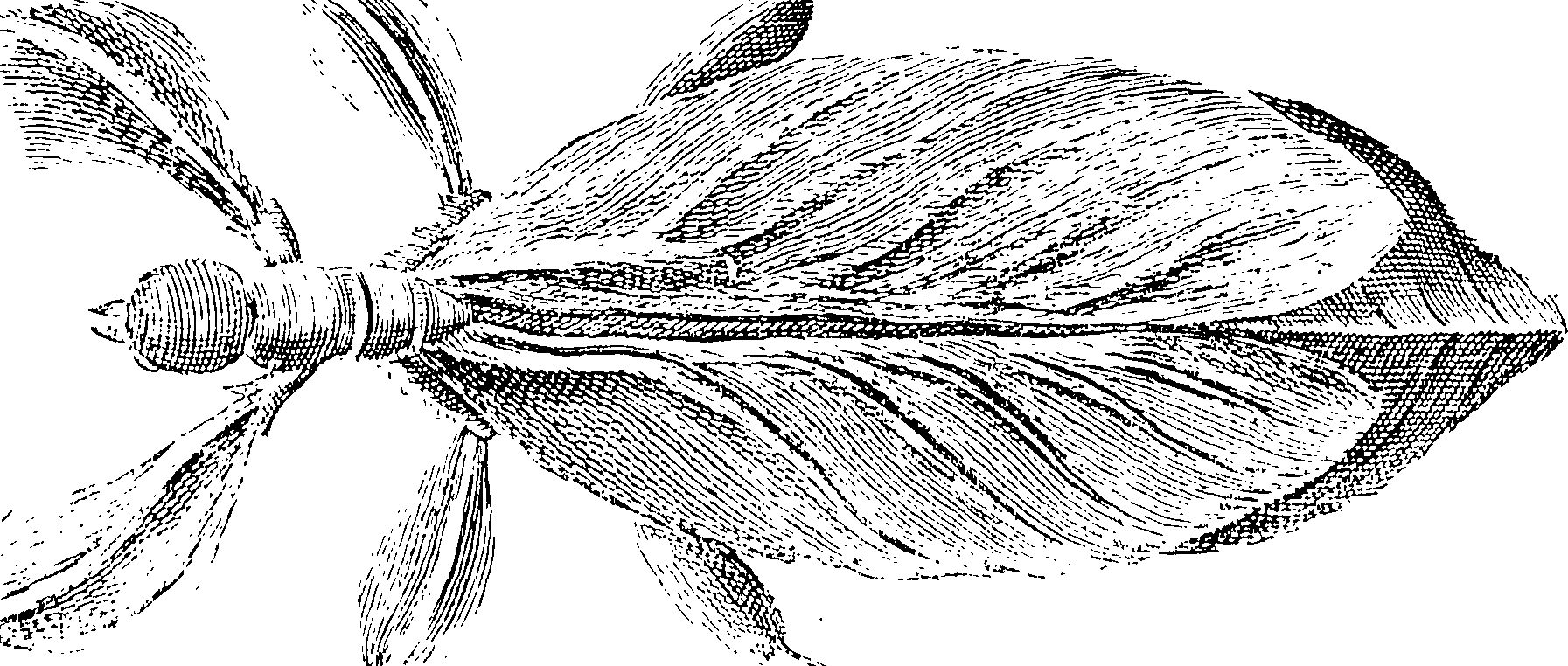 116/116500010002300_0.png