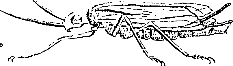 116/116500010002300_2.png