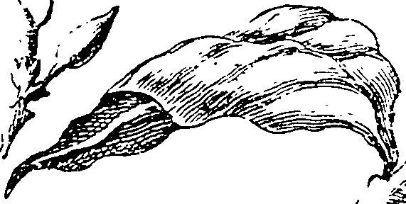 116/116500010004240_0.png