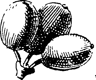 116/116500010004240_1.png