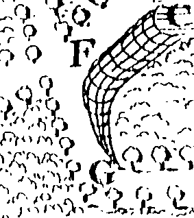 116/116500010005770_0.png