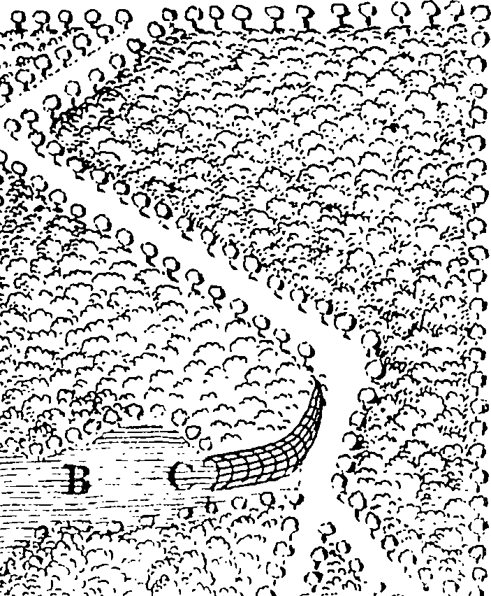 116/116500010005770_1.png