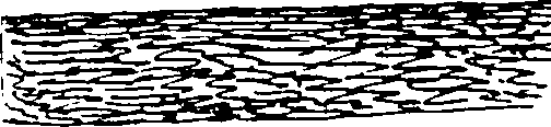 116/116500010006250_2.png