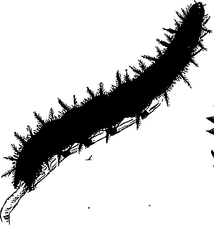 116/116510020100050_0.png