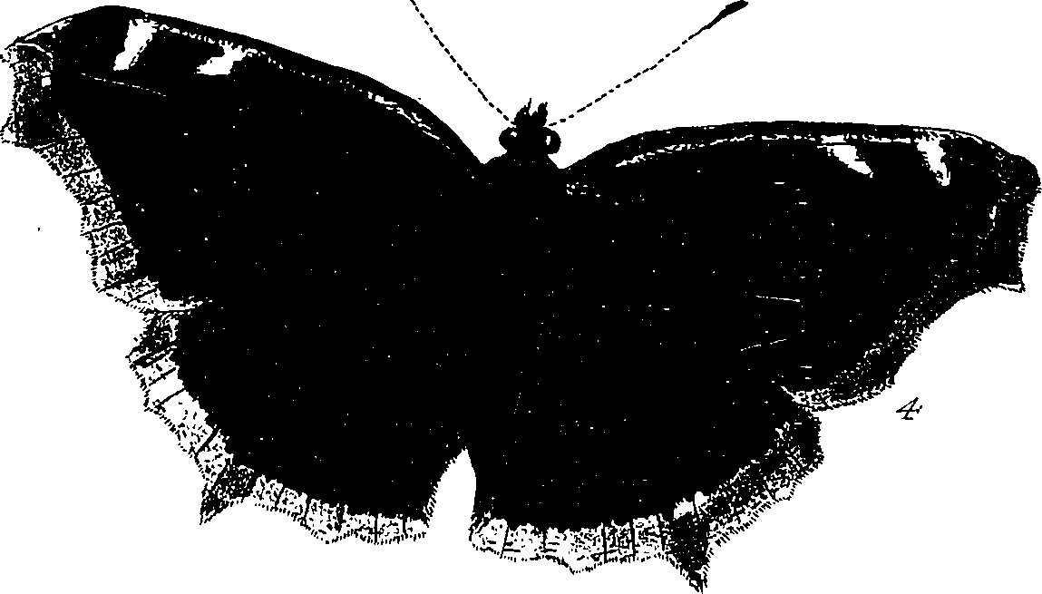 116/116510020100050_1.png