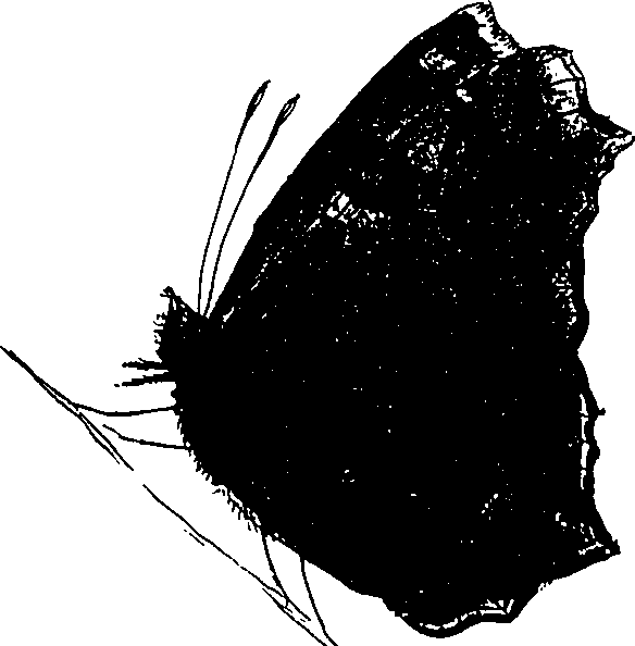 116/116510020100080_0.png