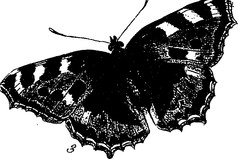 116/116510020100110_0.png