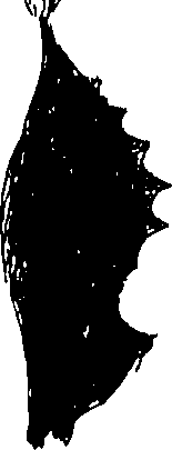 116/116510020100140_0.png