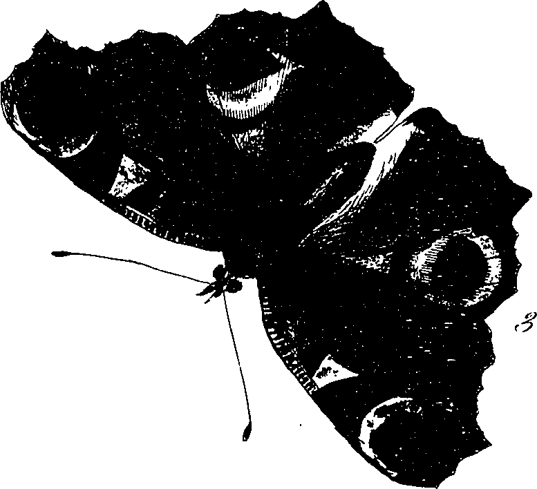 116/116510020100140_1.png