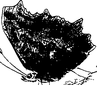116/116510020100170_0.png