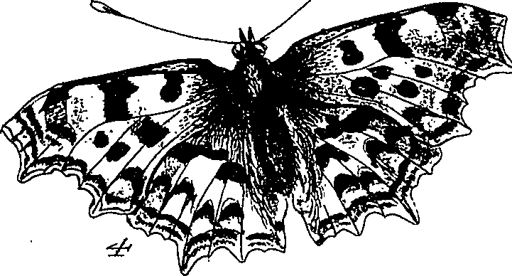 116/116510020100170_1.png