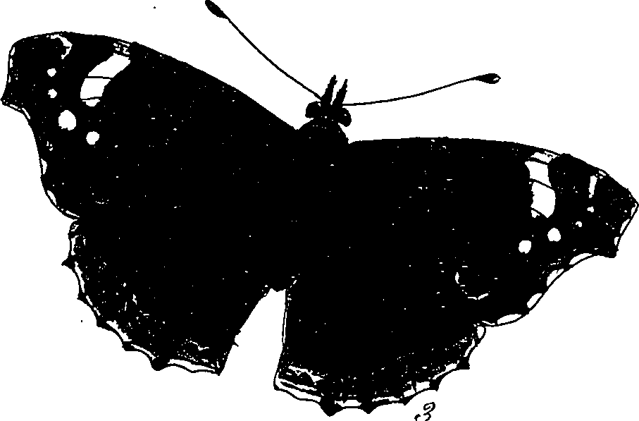 116/116510020100200_1.png