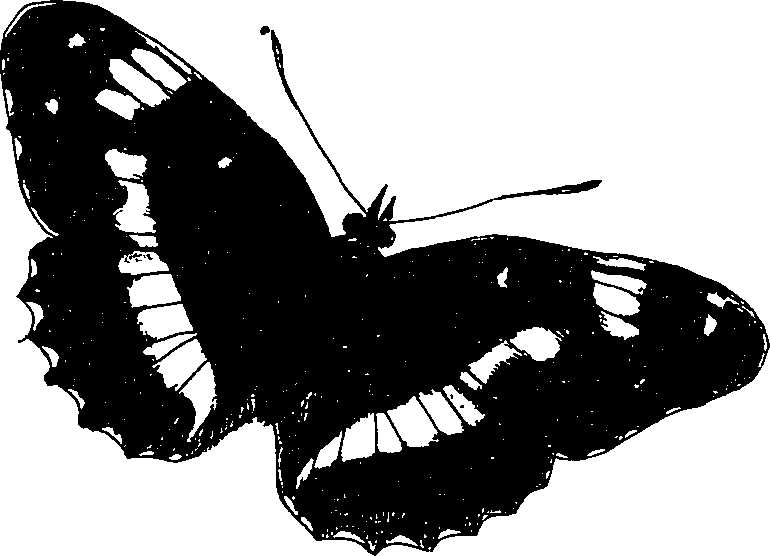 116/116510020100230_0.png