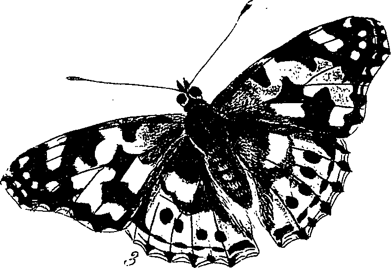 116/116510020100260_0.png