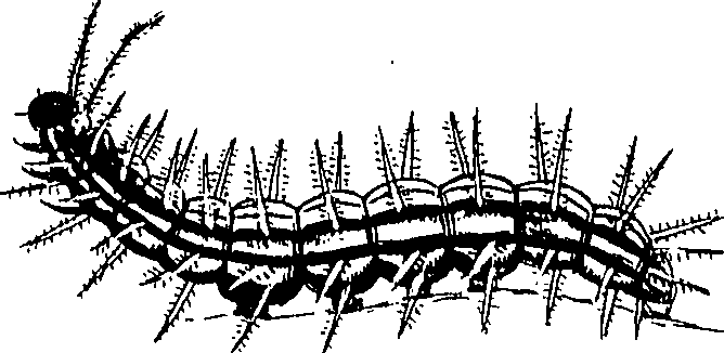 116/116510020100290_0.png