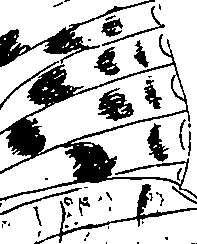 116/116510020100290_1.png
