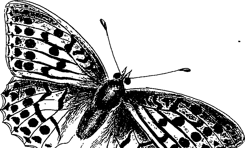 116/116510020100290_2.png