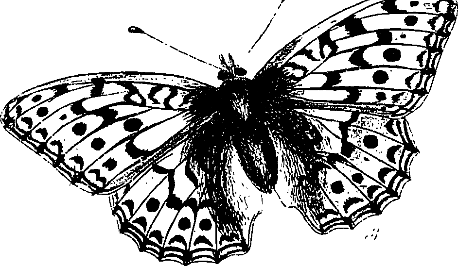 116/116510020100320_0.png