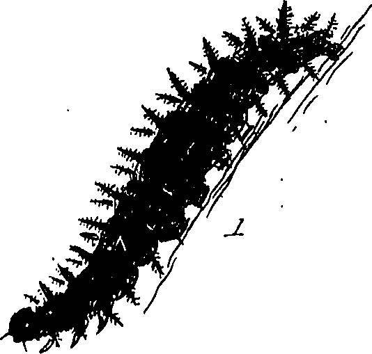 116/116510020100350_0.png