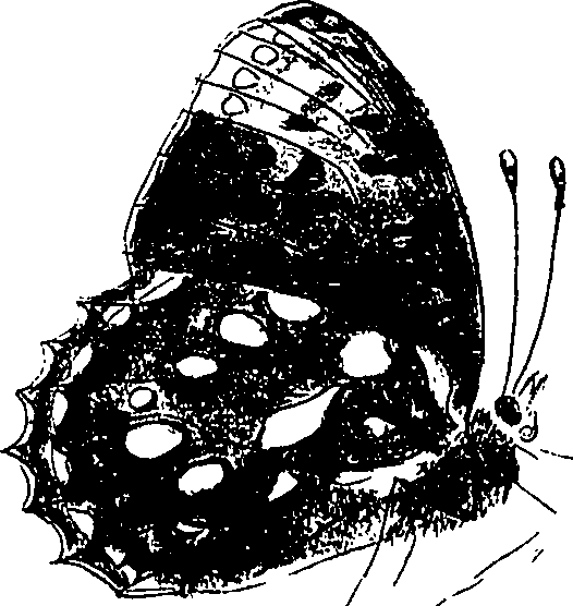 116/116510020100350_1.png