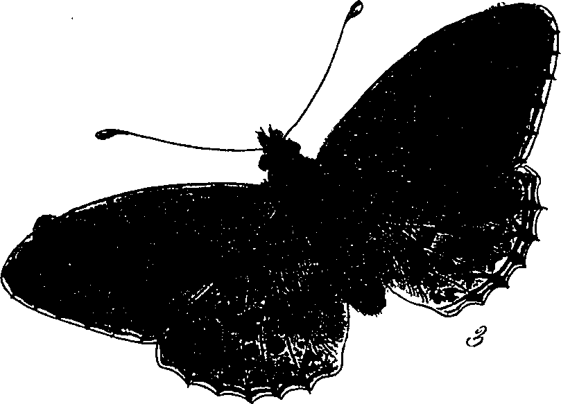 116/116510020100350_2.png