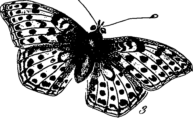 116/116510020100380_1.png