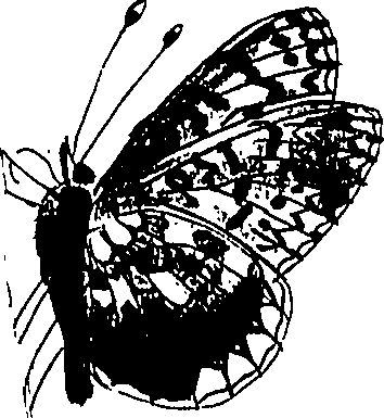 116/116510020100410_0.png