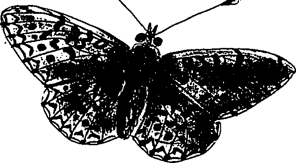 116/116510020100410_1.png