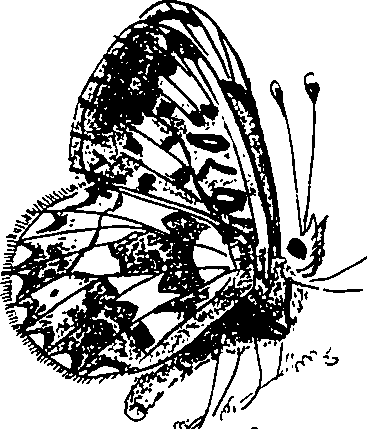 116/116510020100410_2.png