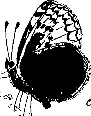 116/116510020100440_0.png