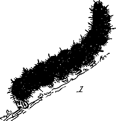 116/116510020100470_0.png