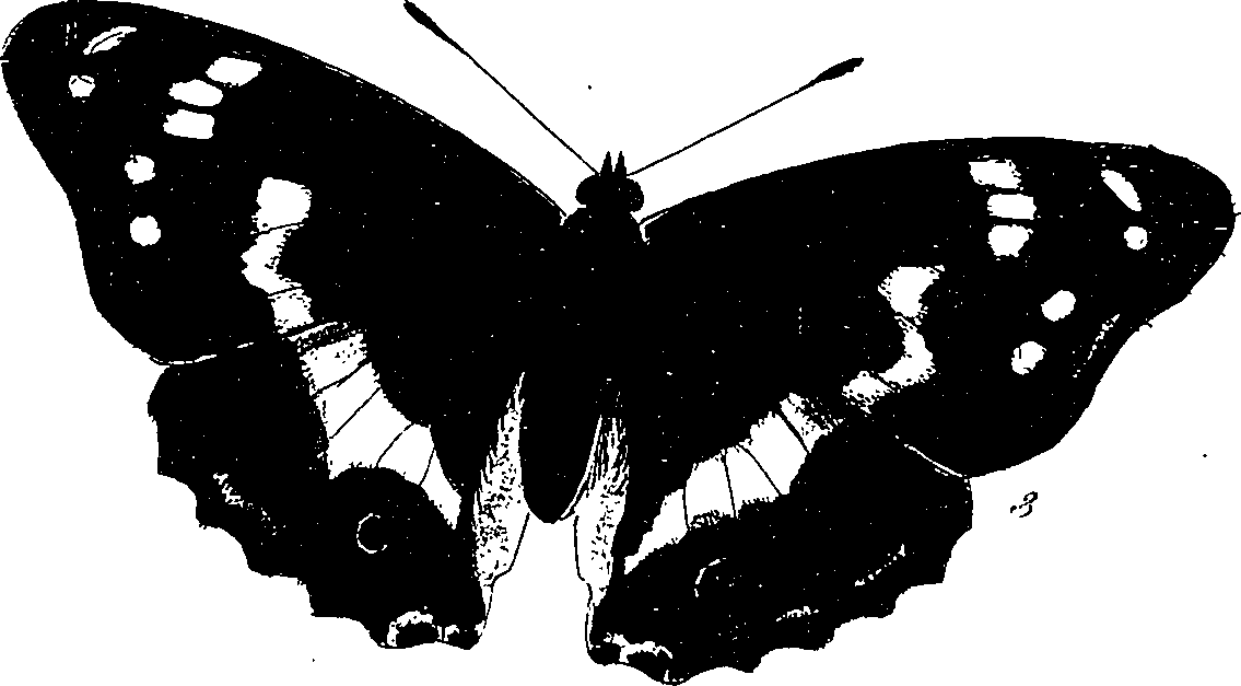 116/116510020100500_0.png