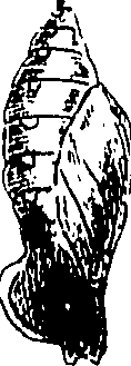 116/116510020100530_0.png