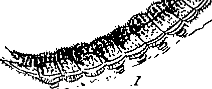 116/116510020100560_0.png