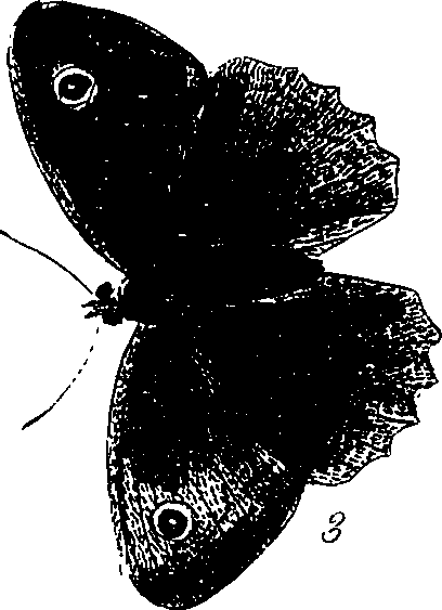 116/116510020100560_1.png