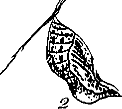 116/116510020100590_0.png