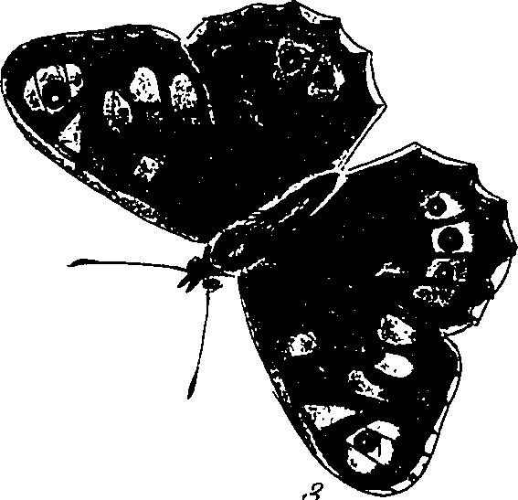 116/116510020100590_1.png