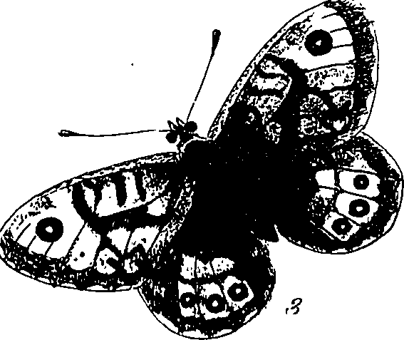 116/116510020100650_0.png