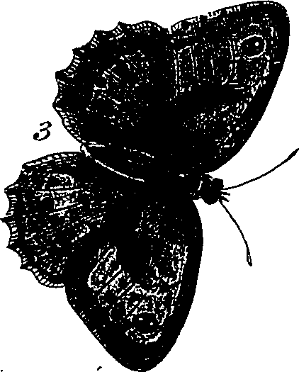 116/116510020100680_1.png