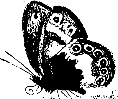 116/116510020100710_0.png